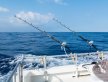 Рыбалка в открытом море