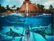 Аквапарк Aquaventure отеля Atlantis The Palm