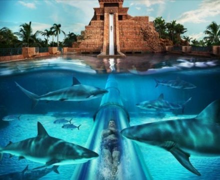 Аквапарк Aquaventure отеля Atlantis The Palm