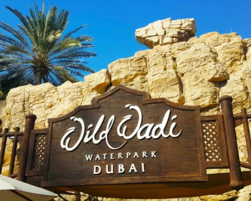 Аквапарк WILD WADI